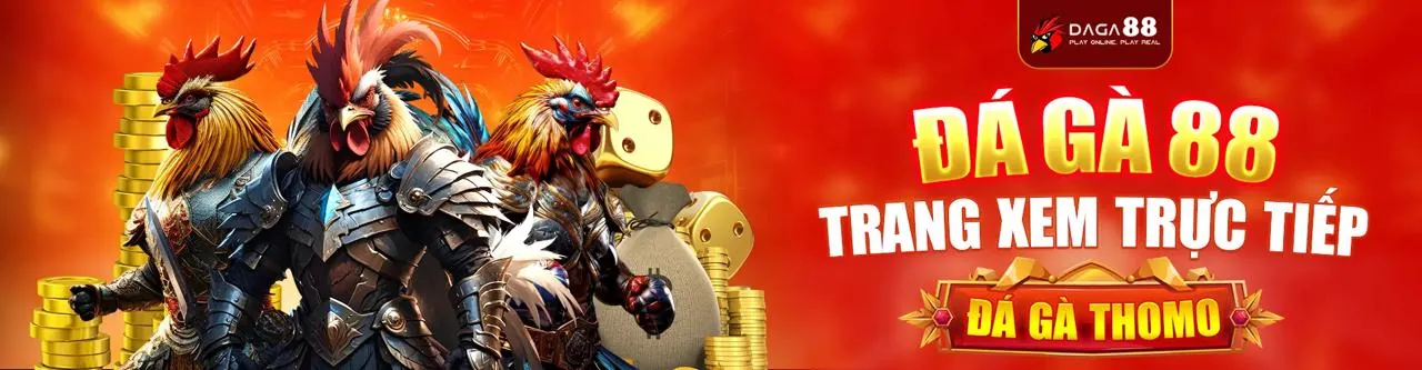 Đá Gà Trực Tuyến 6686bet